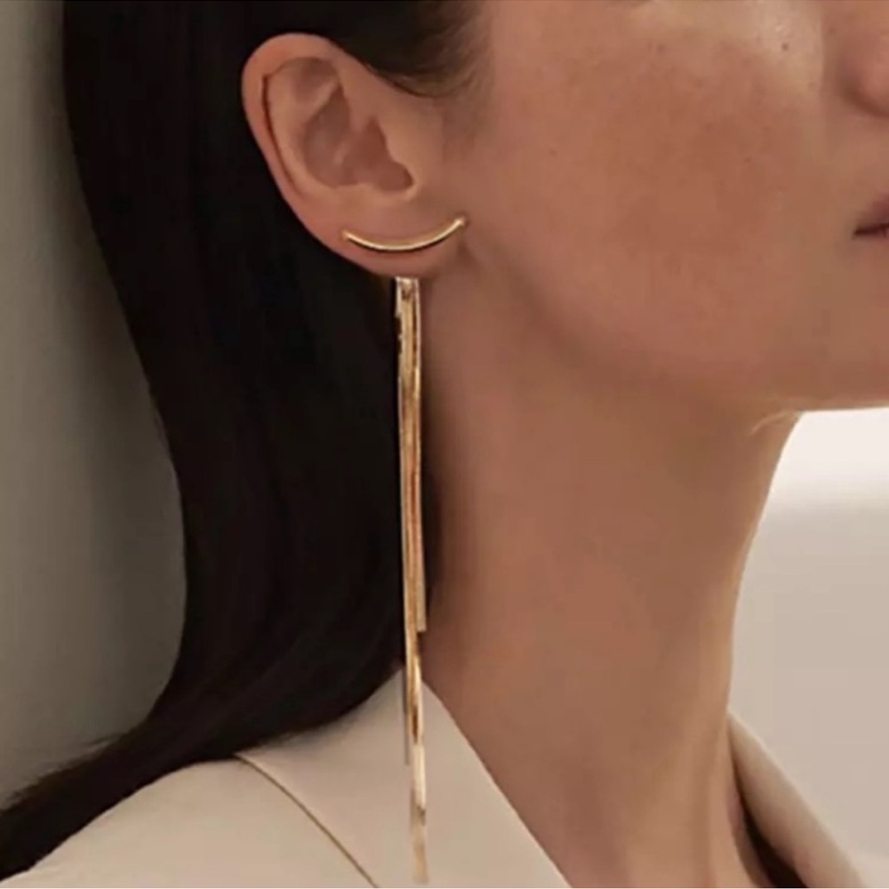 Good Arc Tassel Earrings